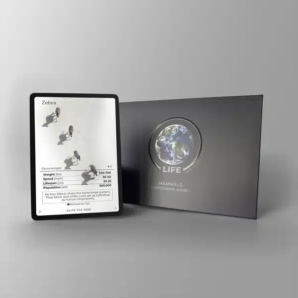 Carte Photographique Zèbre (Zebra Card) – Édition Limitée Richard du Toit – Image 3