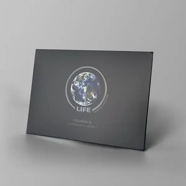 Carte Photographique Zèbre (Zebra Card) – Édition Limitée Richard du Toit – Image 2